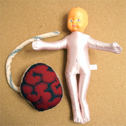 アルちゃん・胎盤人形